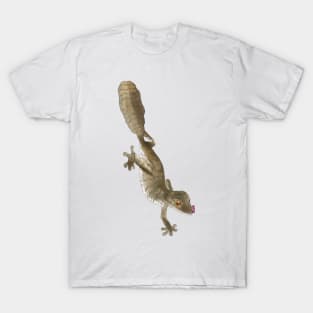 Uroplatus Fimbriatus T-Shirt